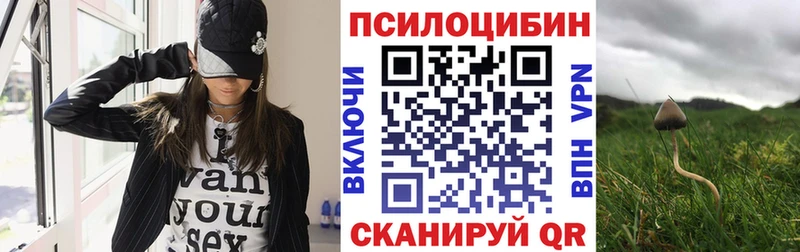 Псилоцибиновые грибы GOLDEN TEACHER Первоуральск