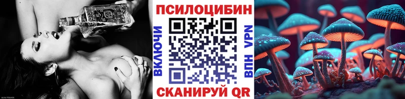 закладка  Первоуральск  ОМГ ОМГ ONION  Галлюциногенные грибы Psilocybine cubensis 